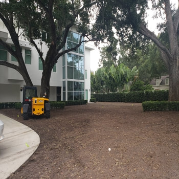 Commercial sod installation companies in Tampa