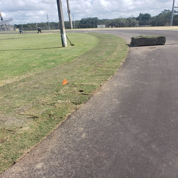 sports field sod replacement companies