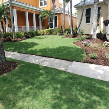 Tampa residential landscape design companies