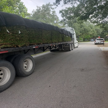 sod delivery companies in Tampa