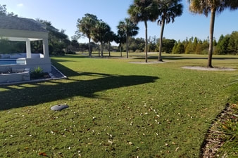 Golf Course Sod installation