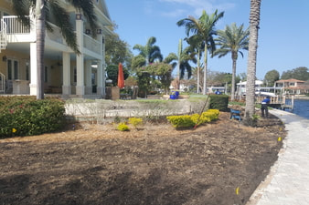 Sod installation clearwater